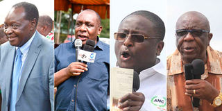 Aspirants in the Vihiga gubernatorial race.