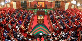 A sitting of the National Assembly. 