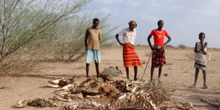 Drought Marsabit