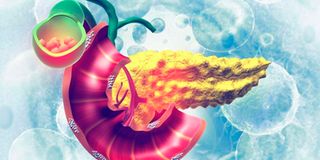 pancrease, inflammation, organ