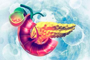 pancrease, inflammation, organ