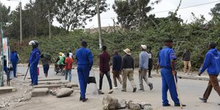 Jacaranda grounds in Nairobi