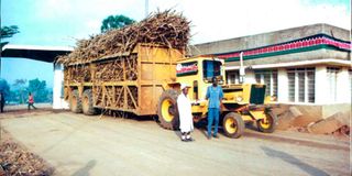 South Nyanza Sugar Company Limited (Sony Sugar)