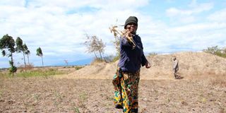 Jane Waruguru at her farm where crops have dried up due to drought at Solio