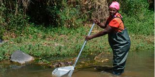 Ms Mary Muthoni, a member of the Lower Malewa Water Resource Users Association.