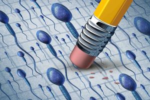 New Content Item (1)