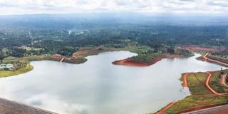 Thiba dam, rice production,