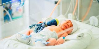 infant loss, pregnancy loss, sick infant