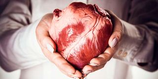 organ transplant, heart transplant, organ donation