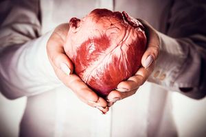 organ transplant, heart transplant, organ donation
