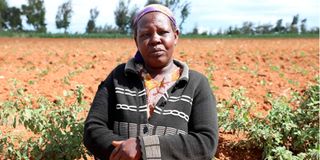 Joyce Wanjiru 37 during the interview in Ol-Moran, Laikipia County.