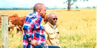 President Uhuru Kenyatta at his Gicheha Farm in Nakuru