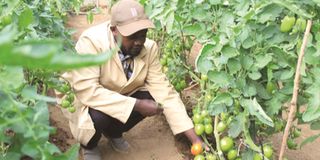 gabriel mwangi, crop rotation, smart farming, climate change