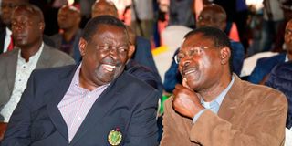 ANC party leader Musalia Mudavadi (left) and Ford Kenya boss Moses Wetang'ula