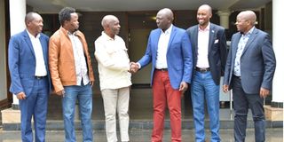 Makueni Governor Kivutha Kibwana President-elect William Ruto legal team supreme court