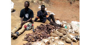 suspected poachersTsavo East National Park
