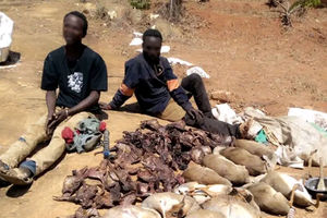 suspected poachersTsavo East National Park