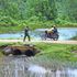 Residents cross a bridge on Talal River in Keiyo South constituency, where Kimwarer Dam was supposed to be built.