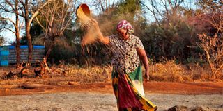 Rosalia Kavini winnows chickpea at Ithekethini Village in Machakos County.