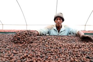 Edward Mutura Wacuka, 29, a worker at Rui-Ruiru Coffee Factory.