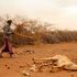 Marsabit drought