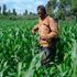 A farmer spraying his crops with pesticide. 