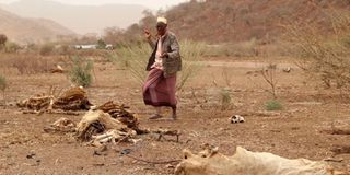 drought in Dabel village, Marsabit County.