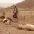 drought in Dabel village, Marsabit County.