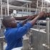 A worker at Keroche Breweries in Naivasha.