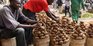 Potatoes on sale at Wakulima Market in Nakuru.