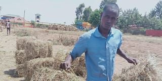 Herder carries hay