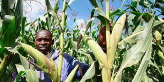 Kenyan farmer