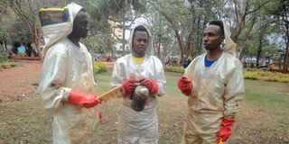 From left: Caesar Kimani, David Wambugu and Victor Kimani.