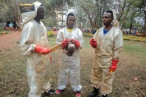 From left: Caesar Kimani, David Wambugu and Victor Kimani.