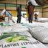 Subsidised fertiliser