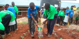 Ithenguri Primary School pupils in Nyeri.