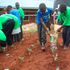 Ithenguri Primary School pupils in Nyeri.