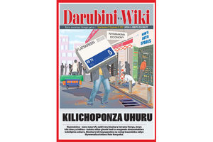 Darubini2-1