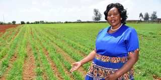 Prisca Keter, a farmer in Kabobo in Soy Constituency, Uasin Gishu County shows her millet crop on May 21, 2022