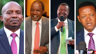 ruto cabinet Prof Kithure Kindiki, Prof Njuguna Ndung'u, ANC leader Musalia Mudavadi Dr Alfred Mutua