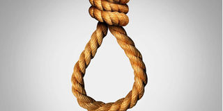 Noose