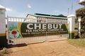 Chebut Kenya Tea Development Authority (KTDA) factory in Kapsabet, Nandi county