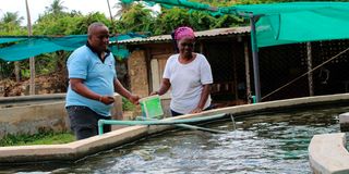 fish farming , Paul Murage