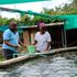 fish farming , Paul Murage