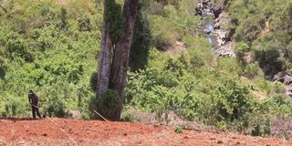 Farming in Mt Kenya