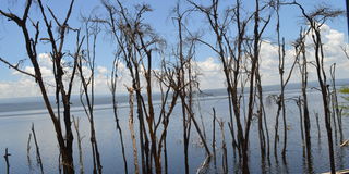 Lake Nakuru