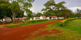 A section of Sangalo Institute of Science and Technology premises in Kanduyi constituency, Bungoma county 