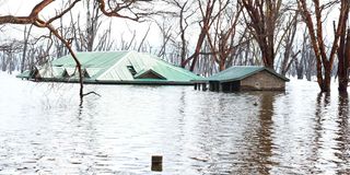 Lake Nakuru rising waters