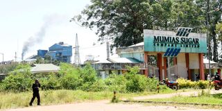 Mumias Sugar Company