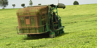 A tea plucking machine at Ekaterra Tea Company plantation in Kericho county